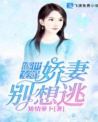 盛世宠婚甜蜜娇妻太撩人