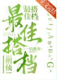 最佳搭档刑侦免费阅读全文