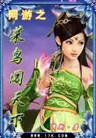 网游之菜鸟也很疯狂