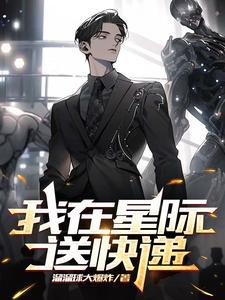 星际公民快递