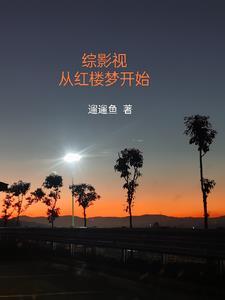 综影视快穿红楼