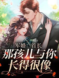 首长军婚系列甜宠文