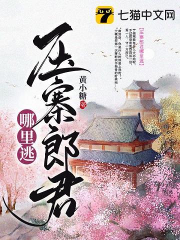抢来压寨的小郎君