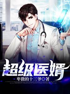 超级医婿 陈天晴