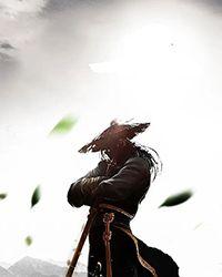 想养一只狸花猫