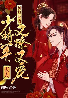 夫人又撩又宠漫画
