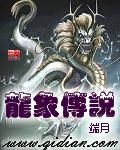 龙象文化科技有限公司