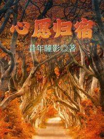愿是什么意思