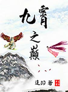 九霄之巅的意思