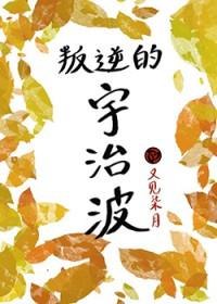 火影之叛忍宇智波雷