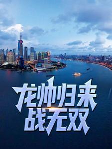 龙帅回归笔趣阁