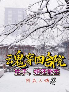 四合院傻柱哥哥