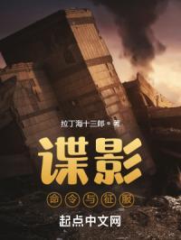 谍影命令与征服txt八零