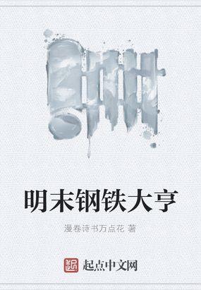 明末钢铁大亨全本免费阅读