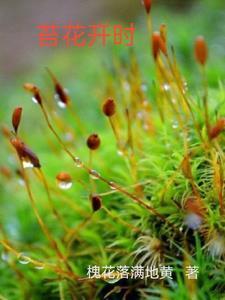 苔藓开花季节
