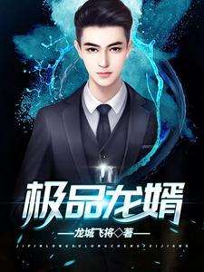 绝品龙婿