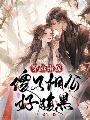 穿越遇到傻相公