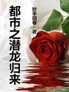 都市潜龙zip