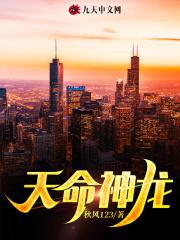 天命神龙丁麟免费阅读