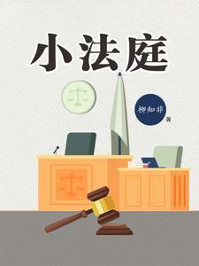 小法庭在哪评审