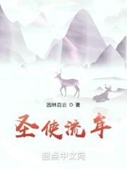 圣使什么意思