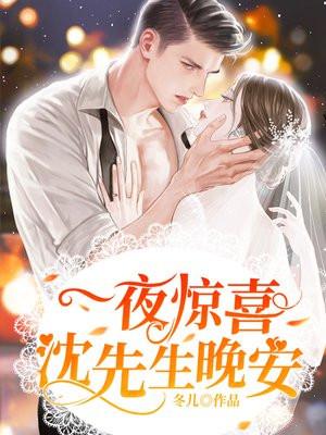 一夜惊喜沈先生请自重by