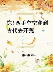 两手空空 意思