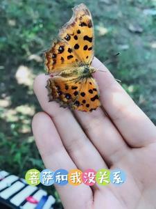 有人说菩萨跟着自己