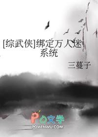 综武侠万人迷主攻