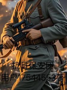 抗战保安团txt