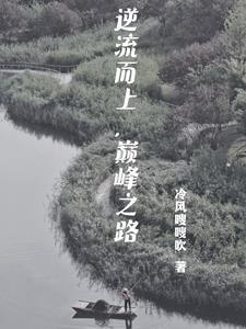官道之人生辉煌