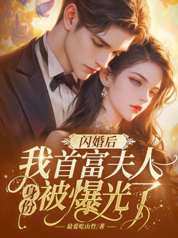 我闪婚闪了个亿万富翁