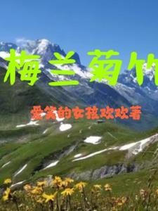 梅兰菊竹象征的意义是什么