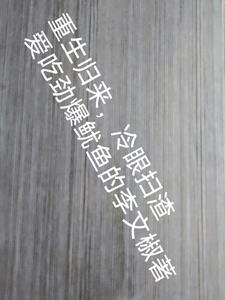 不料却被宠上天