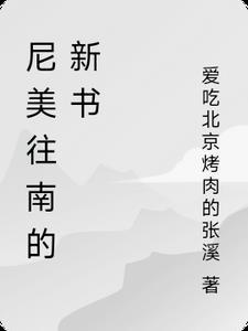 尼美什么意思