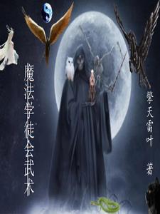 魔法世界介绍