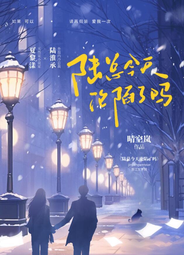陆总今天也在追前女林晚晚