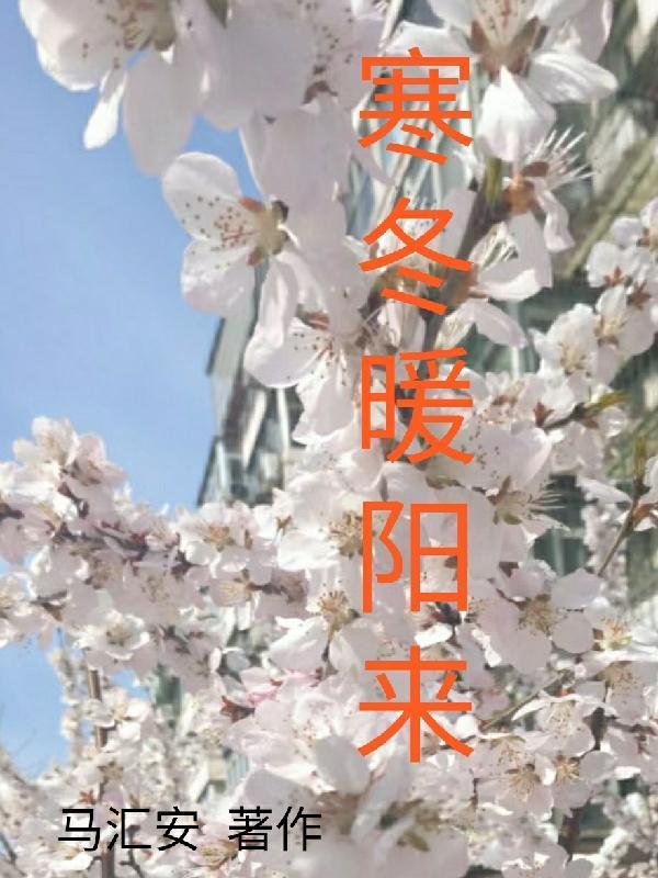 寒冬的暖阳
