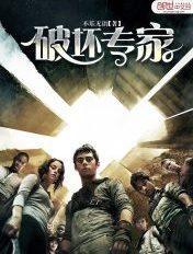 破坏专家电影全集