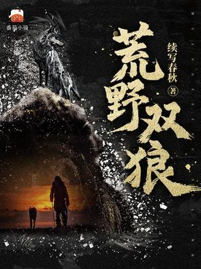 荒野双狼txt资源