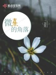 微光角落