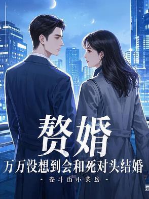 赘婿一对一