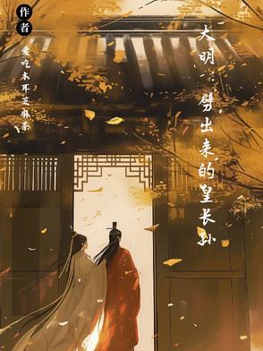 大明我皇孙的身份