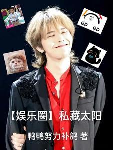 娱乐圈私藏太阳全文免费阅读