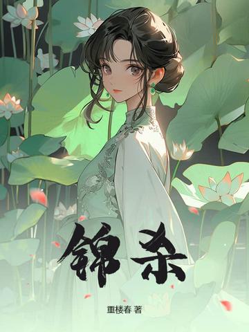 锦杀by袖侧讲的什么