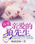 亲爱的狼先生英文