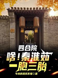 老四合院的电视剧