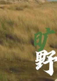 旷野之境电视剧全集免费观看高清