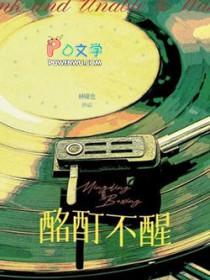 酩酊不醒双洁吗