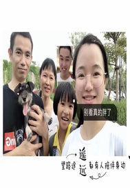 情深缘浅百科